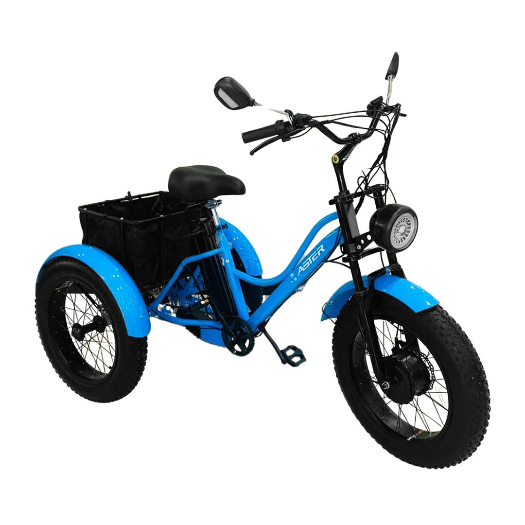 Electric Trike Fat Tire 3 Wheel Electric Tricycle Wheels Adult Cargo Electric Bike With Basket 24-Inch