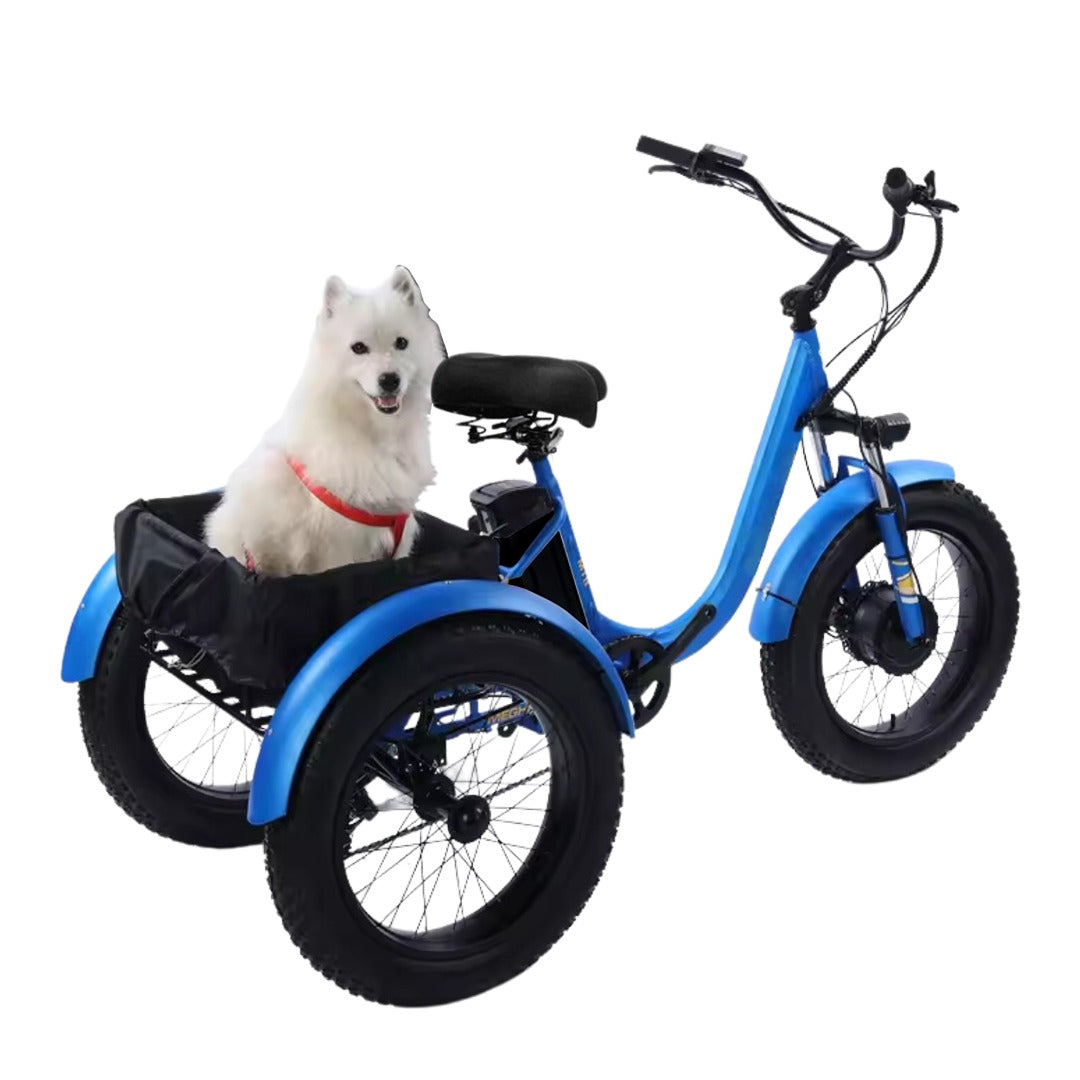 Electric Trike Fat Tire 3 Wheel Electric Tricycle Wheels Adult Cargo Electric Bike With Basket 24-Inch