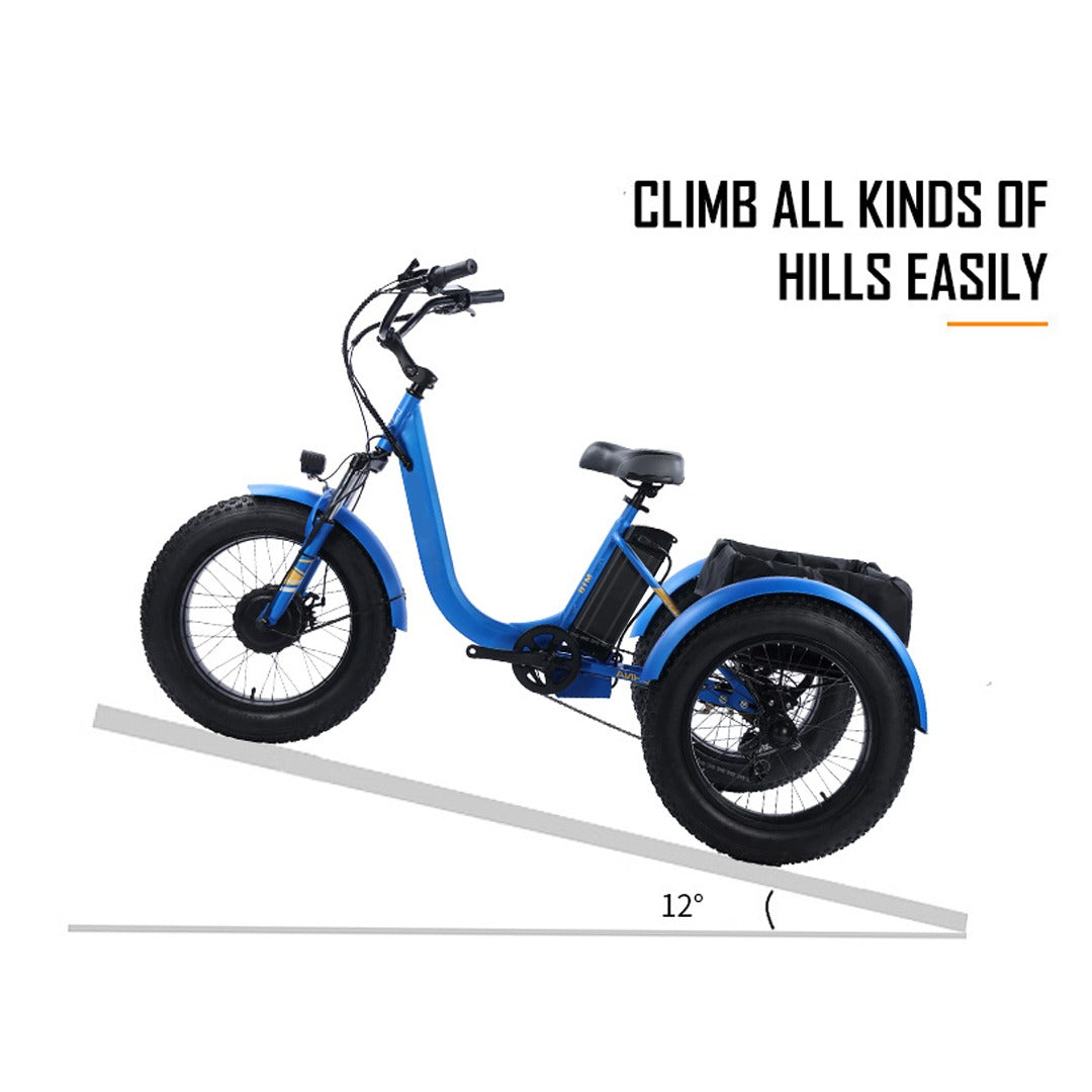 3 wheel bicycle uae Electric 3 Wheel Scooter Adult Cargo Electric Bike With Basket – Rafplay