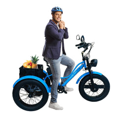 Electric Trike Fat Tire 3 Wheel Electric Tricycle Wheels Adult Cargo Electric Bike With Basket 24-Inch