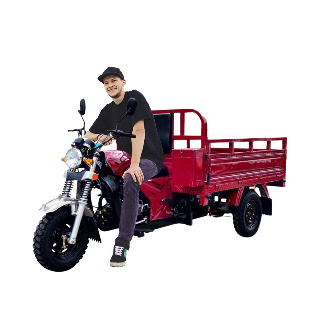 Megawheels Motorcycle Export Petrol Powered 200cc Cargo 3 Wheel Tricycle for Adults