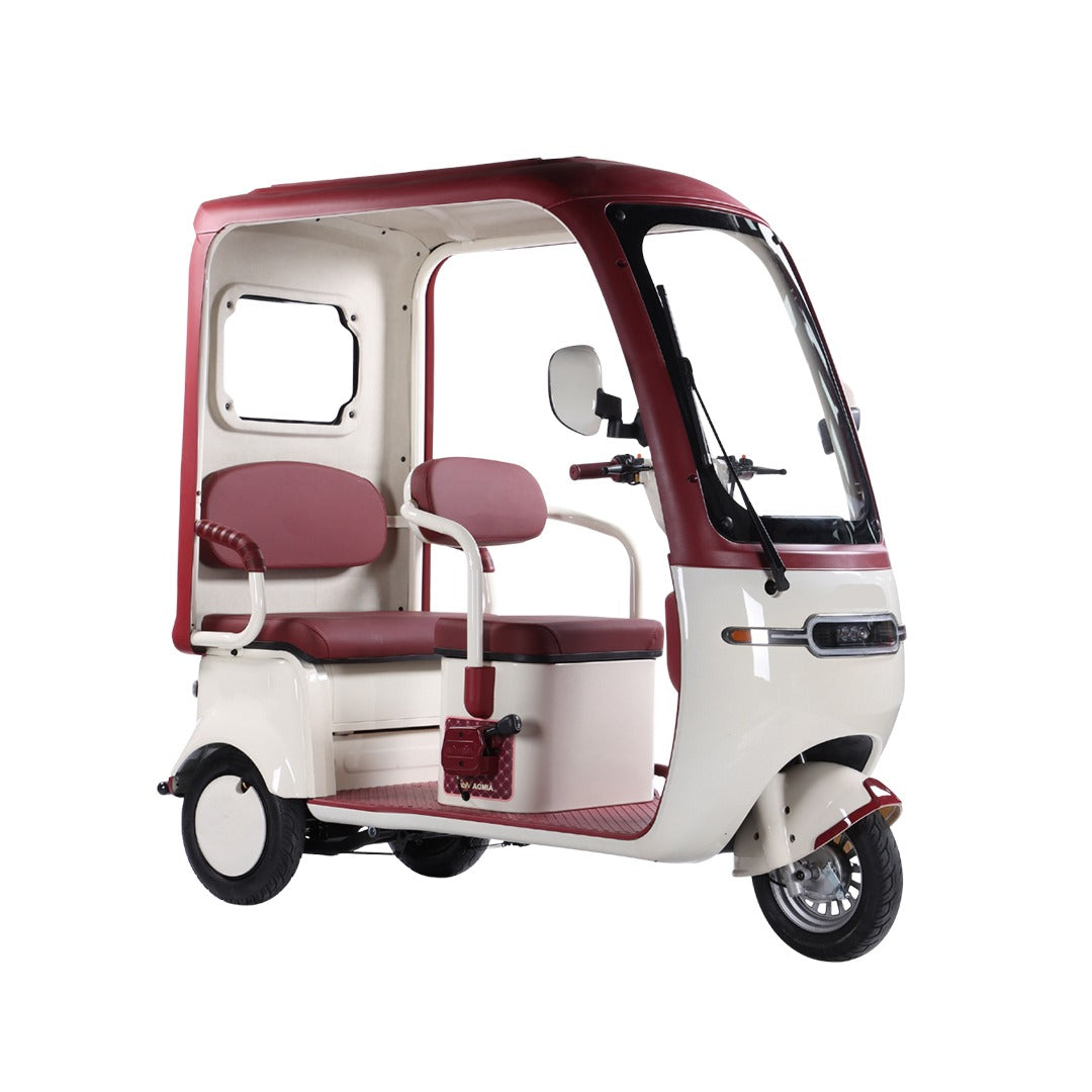Urban Roof Back Enclosed Electric Tricycle for Passengers