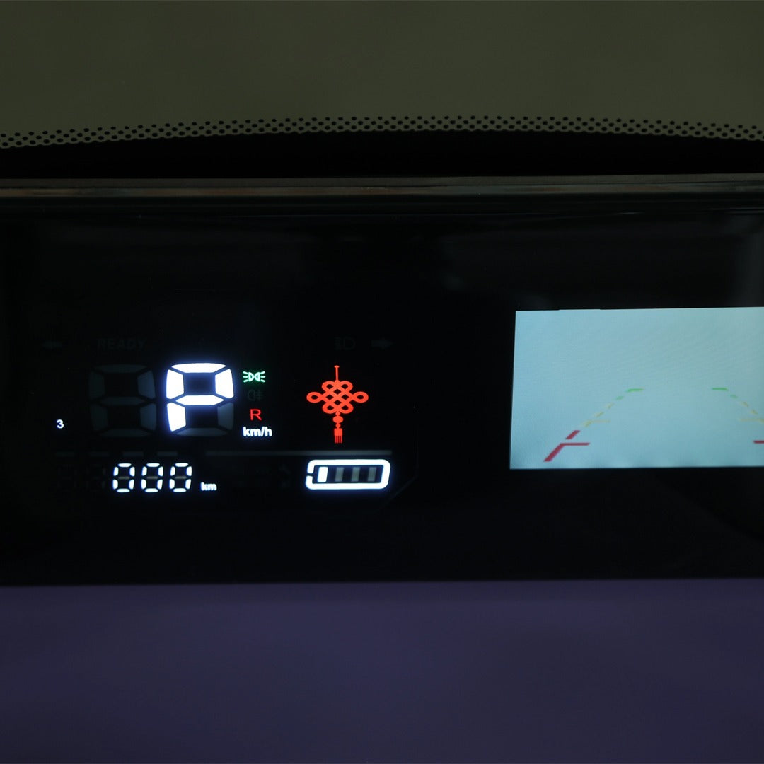 Display Meter of Electric Scooter Tricycle for 3 Passengers