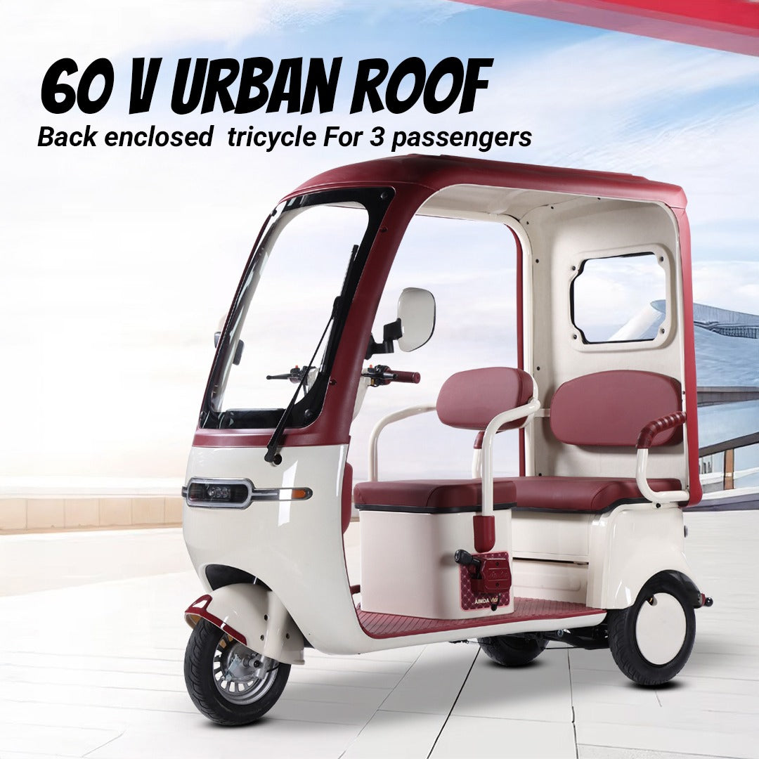 Electric Tricycle with Roof for 3 Passengers