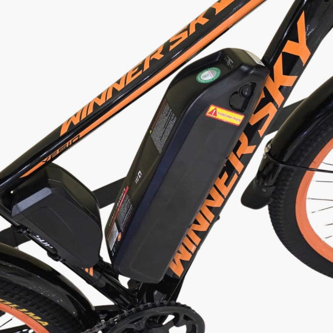 Haulier Electric Bike With Removable Lithium Battery