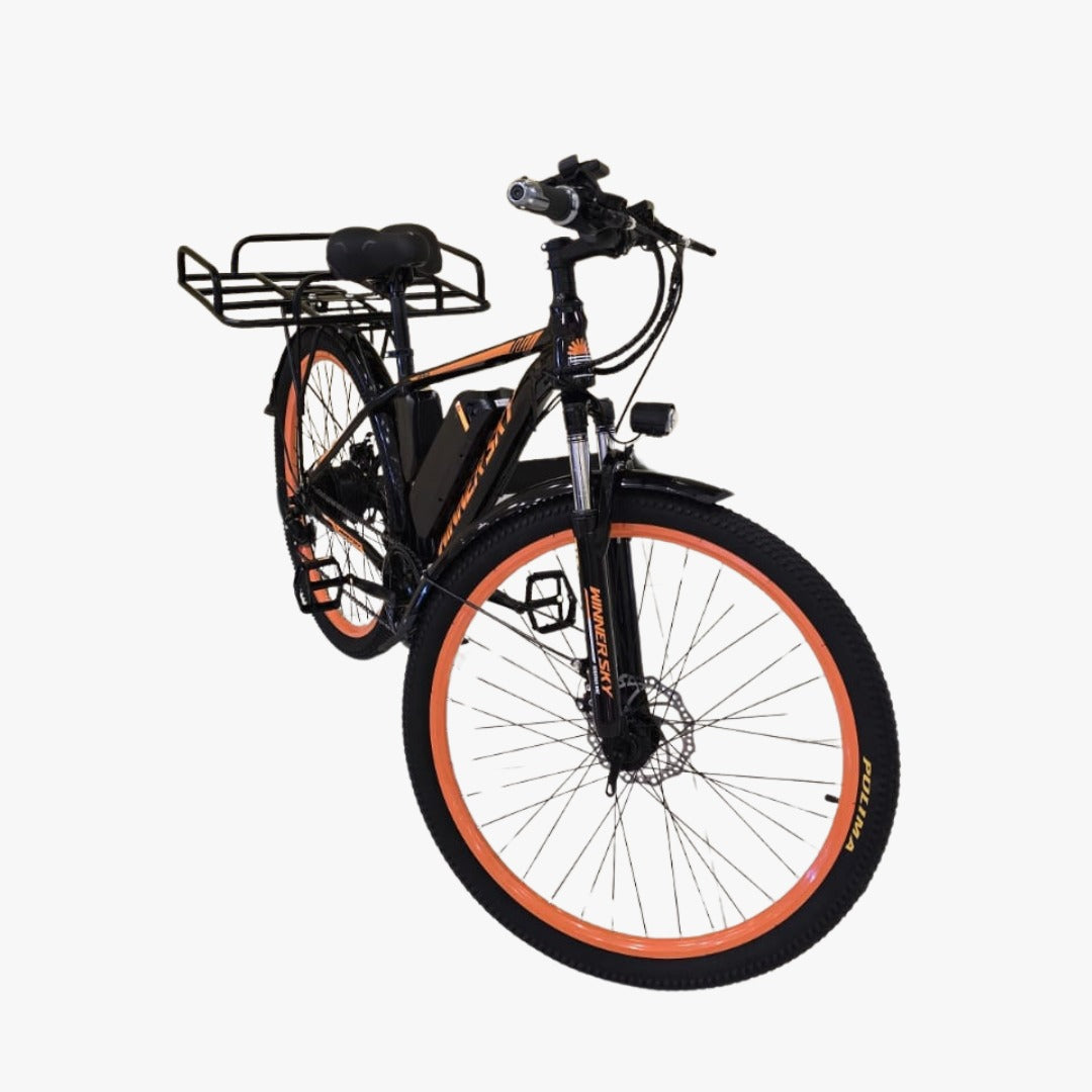 Haulier Electric Bike With Carrier and Removable Lithium Battery 48 V