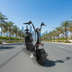 Kugoo City Coco Electric Scooter 60V Lithium Battery 