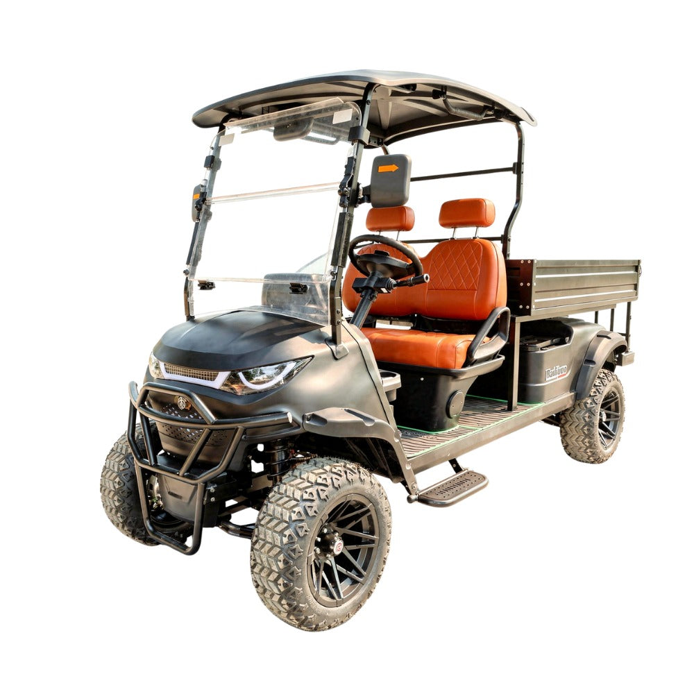 Black golf cart with 2 seater