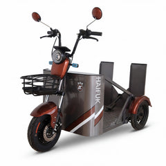 Three-wheeled electric scooter with a sidecar