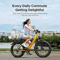 ENGWE E26 EBIKE Electric Scooter 48V Mountain Bike for Adults With 1 Year Warranty