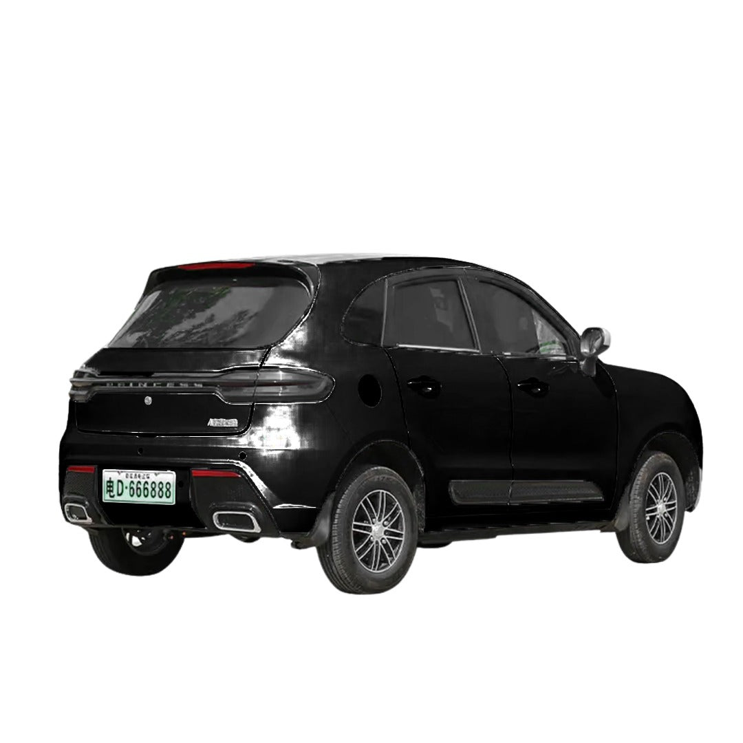 Megawheels Mini BugsWagon Electric EV Car 5KW
