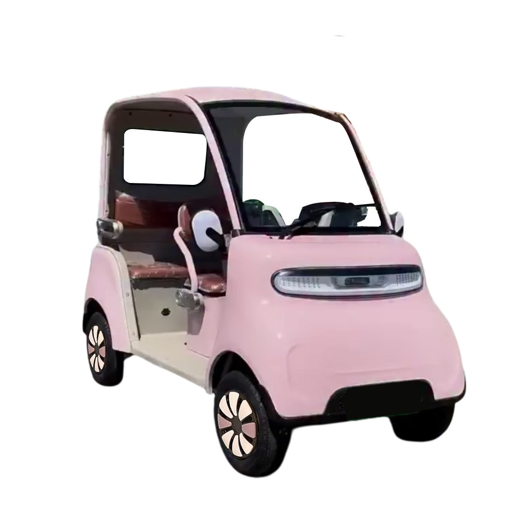 Mini Electric Car