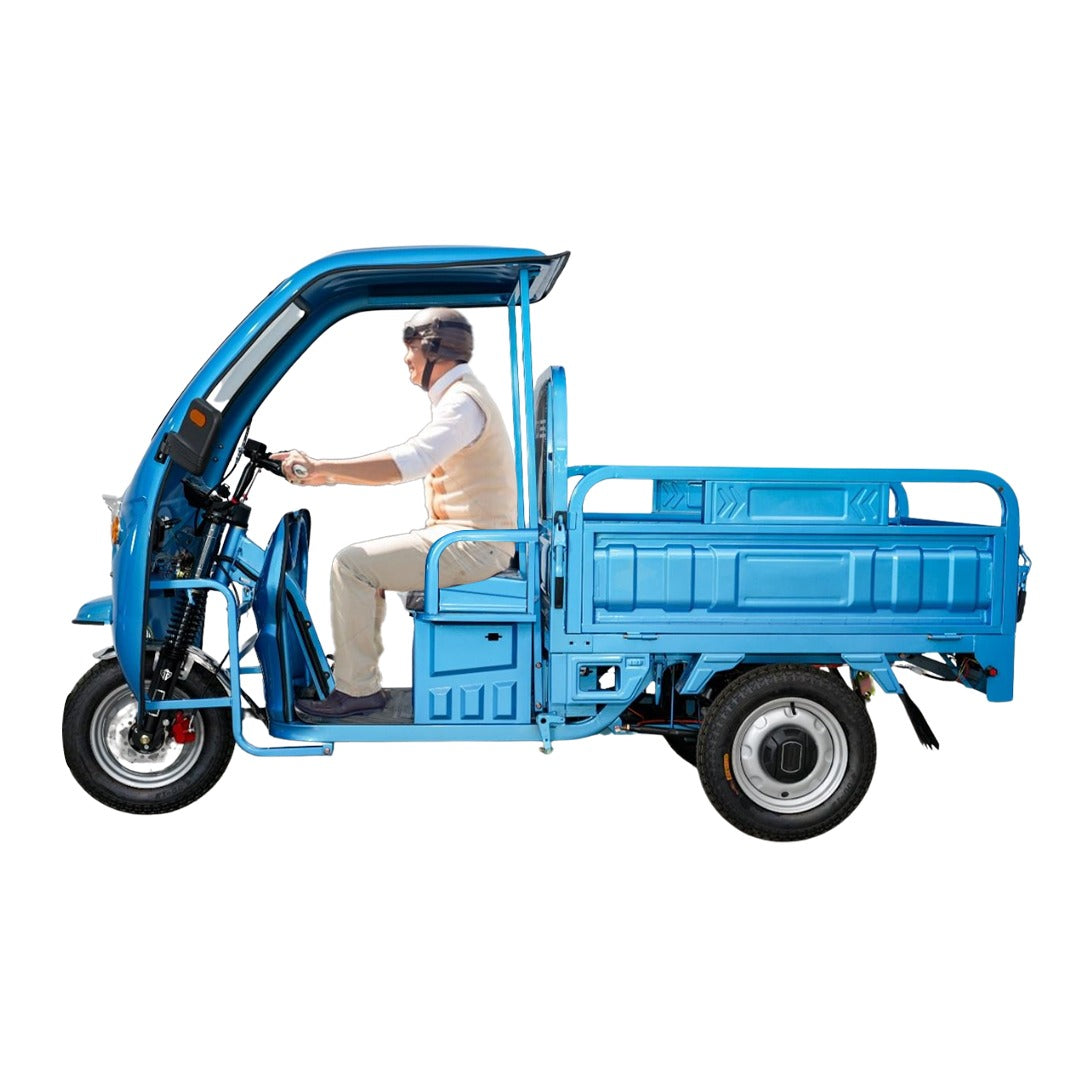 Electric Tricycle with Roof