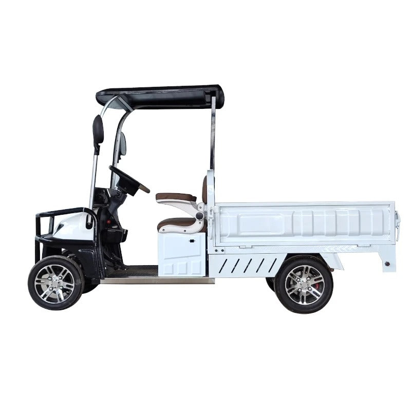 Megawheels Cruisemaster Golf Cart 2 Seater With Long Cargo Utility Box 60 V