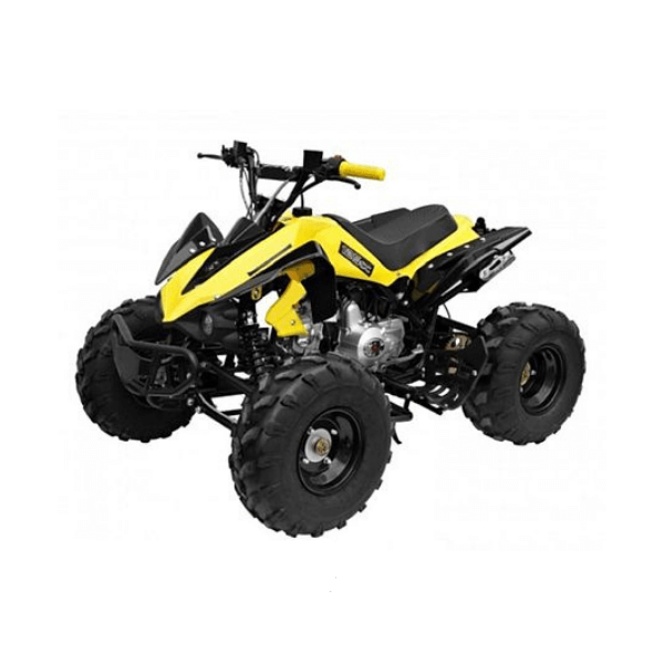 ATV 125CC Panther Quad off Road Power Wheels Bike – Rafplay