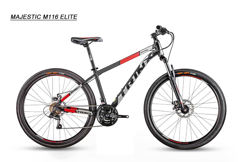 Black Mountain Bike Trinx 