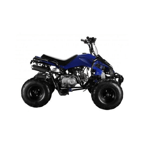 Blue ATV Quad Bike 125CC