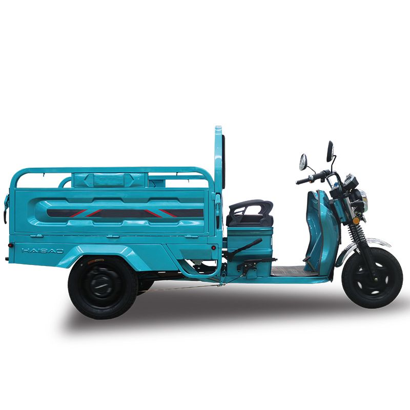 electric 3 wheels scooter trolley for sale