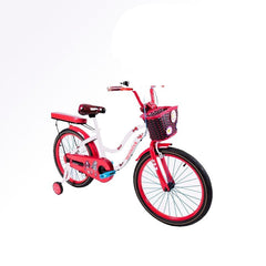 MEGAWHEELS Flower Power 20 inch and 16 inch BICYCLE WITH BASKET And back cushion ASSORTED - MGA STAR MARKETING 