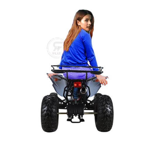 Powerwheels ATV quad Bike King Quad 250 cc Fully Automatic