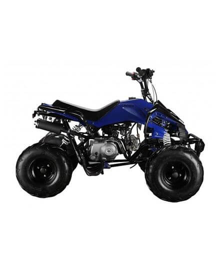 Blue Ride-on Powerwheels ATV Quad Bike 125CC