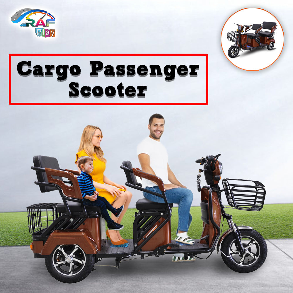 Electric Passenger Motorcycles Tricycle Mobility 3 Wheel Electric Scooter