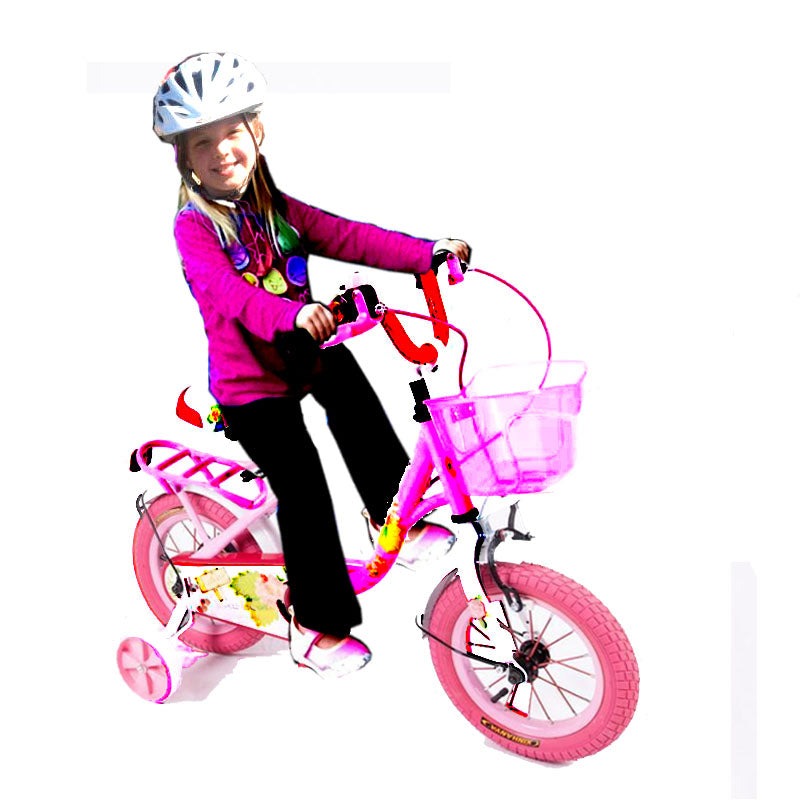 MEGAWHEELS Girls bicycle Wildflower with basket and Training Wheels-Assorted 12"
