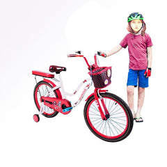 Flower Power 20" and 16" Bicycle with basket And Back cushion Assorted