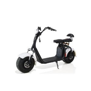 COCO HARLEY STATION SCOOTER WITH 60 V  REMOVABLE BATTERY  adult scooter