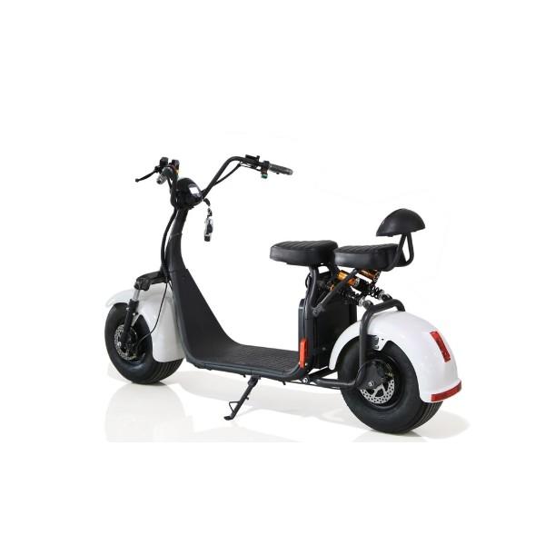 COCO HARLEY STATION SCOOTER WITH 60 V  REMOVABLE BATTERY  adult scooter back view