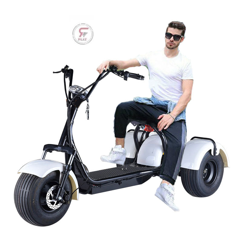  Coco Harley 3 Wheels Electric Scooter Velocipede Trike