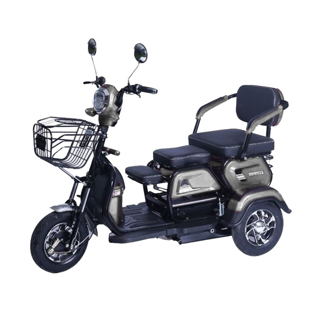 Electric Sliding Tricycle Family Scooter for Passengers 600