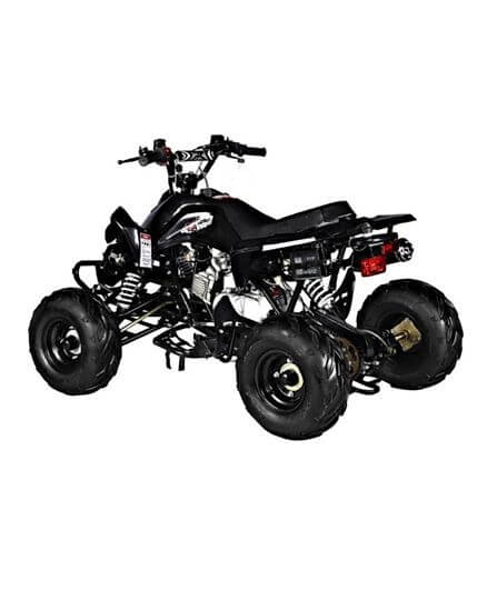 Mega Wheels 125 cc Panther Atv Quad Bike with Reverse/Without Reverse
